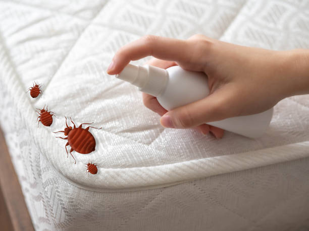 Best Pest Prevention Services  in Los Luceros, NM
